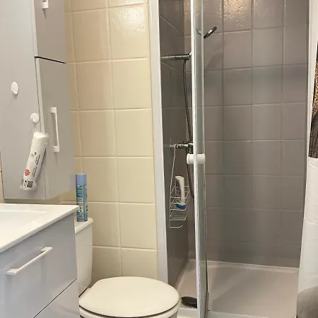 Charming T3 With Balcony In Apartman